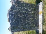 image of grave number 762871
